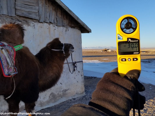 ExtremeMeters.com customer Rose Sandler with her Kestrel 3500 in the Gobi Desert - ExtremeMeters.com